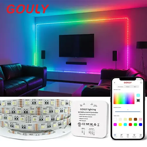 Custom Waterproof IP20 IP65 IP67 Smart RGBW LED Strip Lights